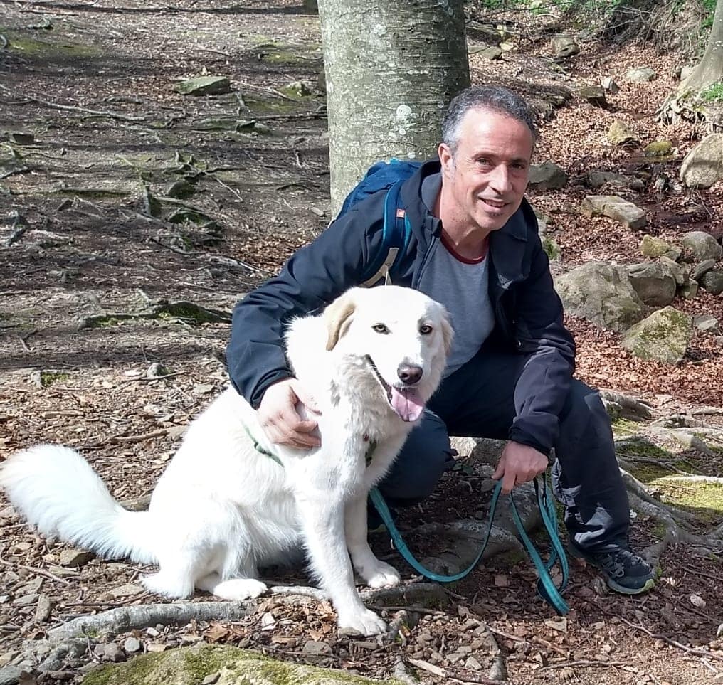 Educador perro Badalona Barcelona tiana